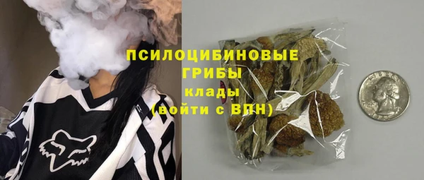шишки Алексеевка