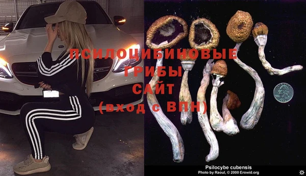 шишки Алексеевка