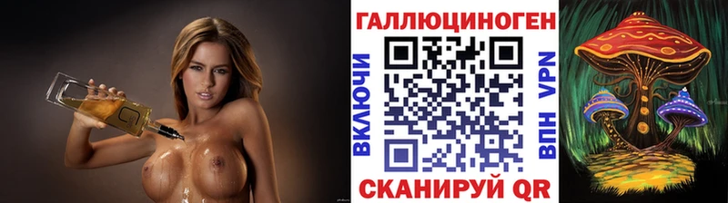 где купить наркоту  Курганинск  даркнет наркотические препараты  Галлюциногенные грибы ЛСД 